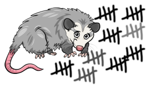 possums-down