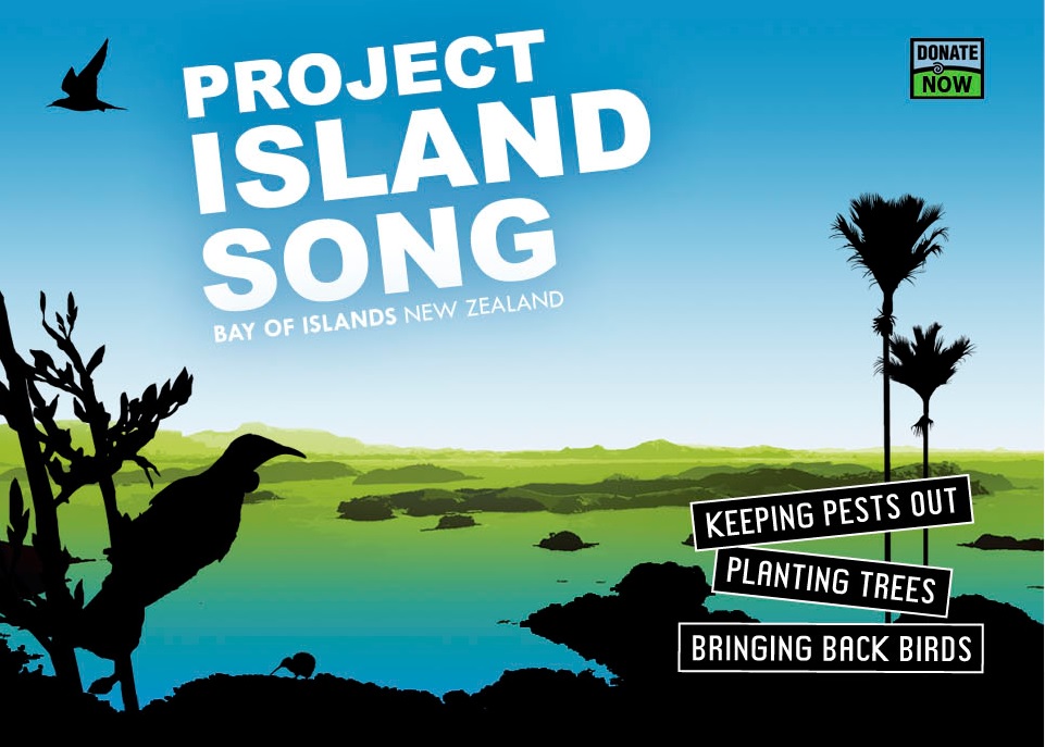 Project Island Song Kiwi Coast Northland Project