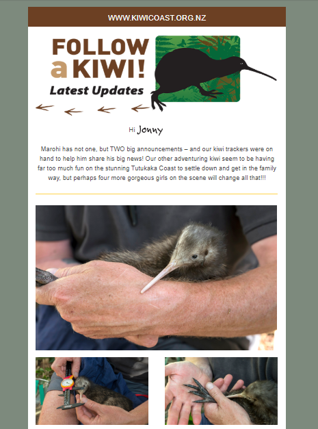 October 2019 Follow a Kiwi Newsletter
