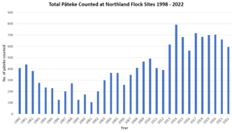 Pateke flock count graph 2022