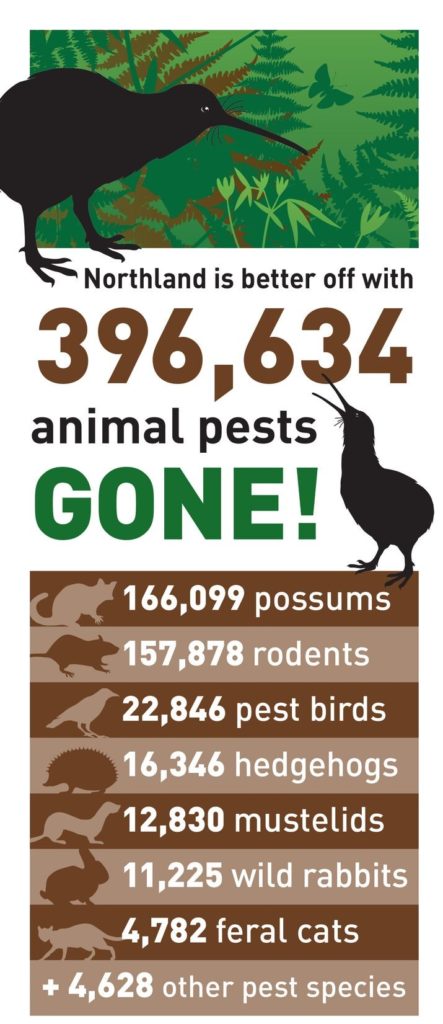 Kiwi Coast Pest Control Results 2019