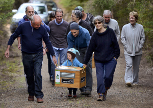 Kiwi carried to Tutukaka release site