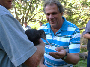 Kiwi returned to wild on Kiwi Coast