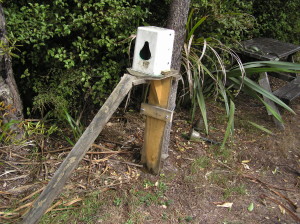 Marunui Timms Platform (Photo: Joe Barber)