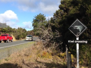 Backyard Kiwi Road sign