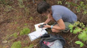 Thalia records data at a KLD site