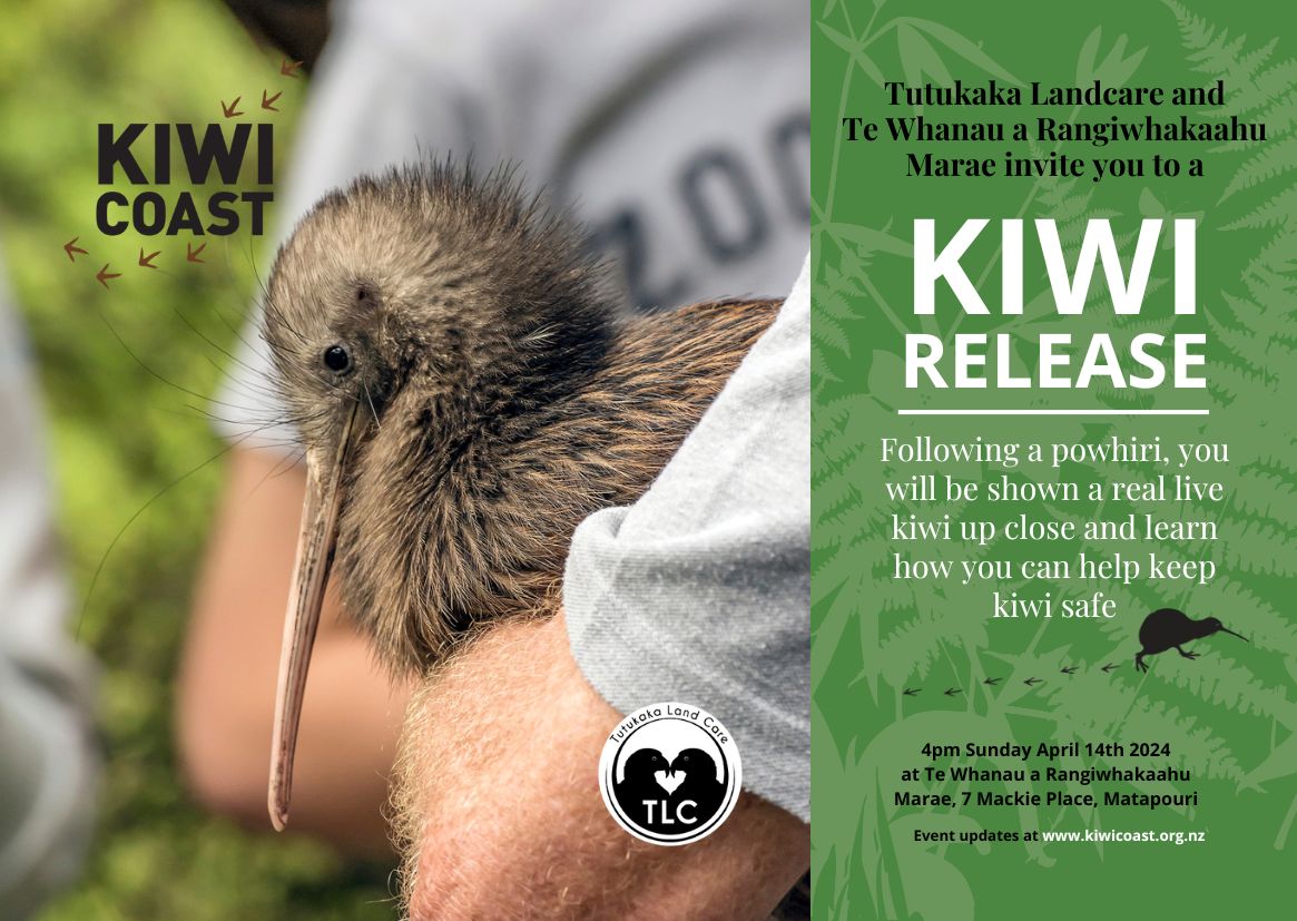 Tutukaka Kiwi Release